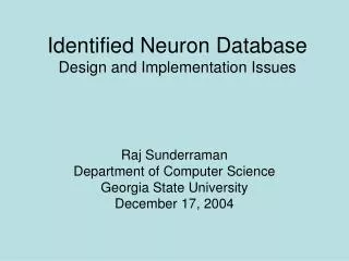 Identified Neuron Database Design and Implementation Issues