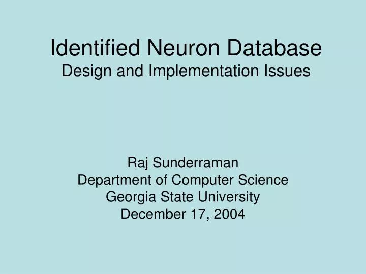 identified neuron database design and implementation issues