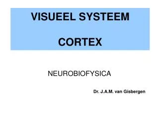 visueel systeem cortex