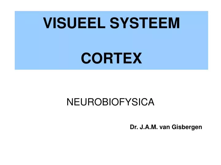 visueel systeem cortex