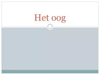 het oog