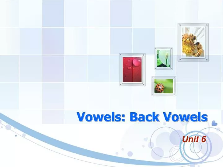 vowels back vowels