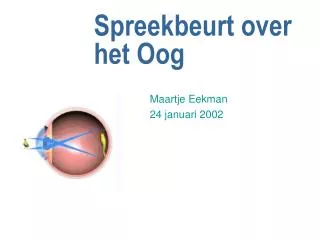 spreekbeurt over het oog