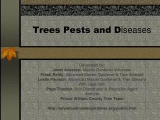 Trees Pests and D iseases