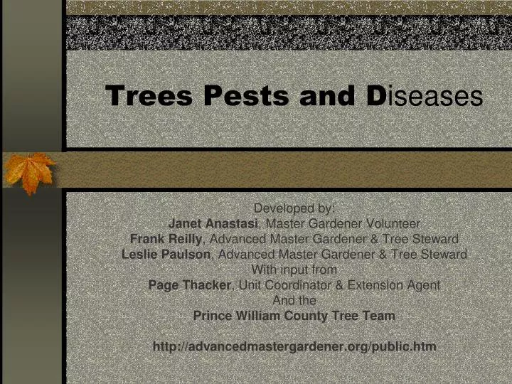trees pests and d iseases
