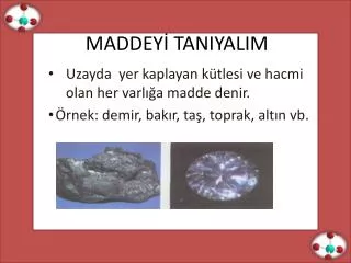 maddey taniyalim