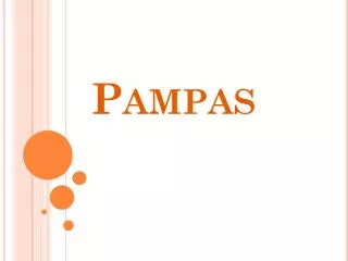 Pampas