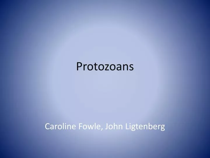 protozoans