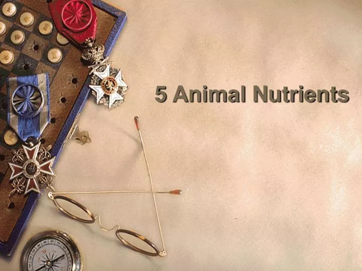 5 animal nutrients