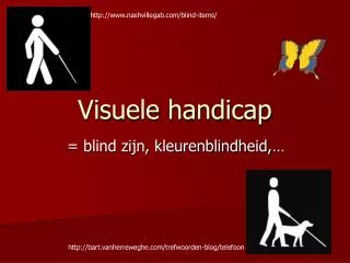 visuele handicap