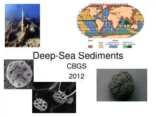 Deep-Sea Sediments