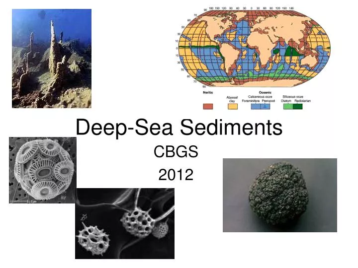 deep sea sediments