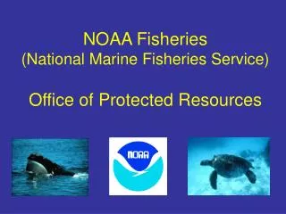 NOAA Fisheries (National Marine Fisheries Service) Office of Protected Resources