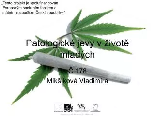 patologick jevy v ivot mlad ch