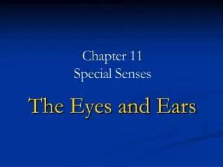 Chapter 11 Special Senses