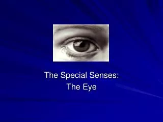 The Special Senses: The Eye