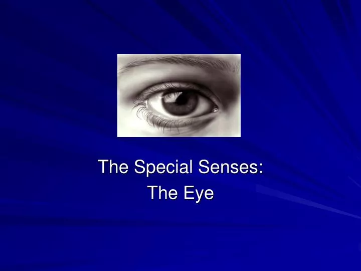the special senses the eye