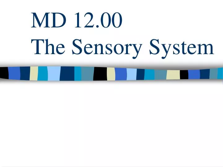 md 12 00 the sensory system
