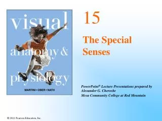 15 The Special Senses