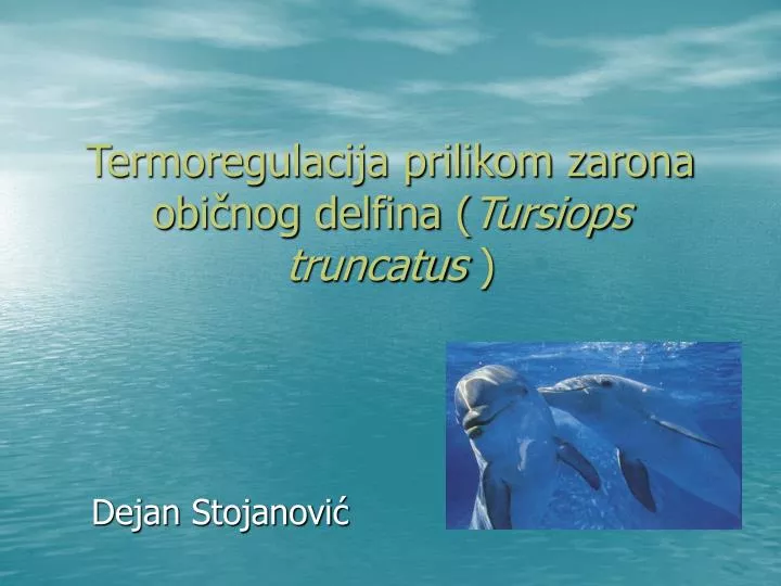 termoregulacija prilikom zarona obi nog delfina tursiops truncatus