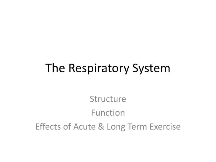 the respiratory system