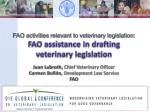 FAO activities relevant to veterinary legislation: FAO assistance in drafting - slide 1