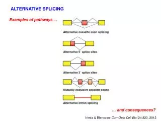 Examples of pathways ...