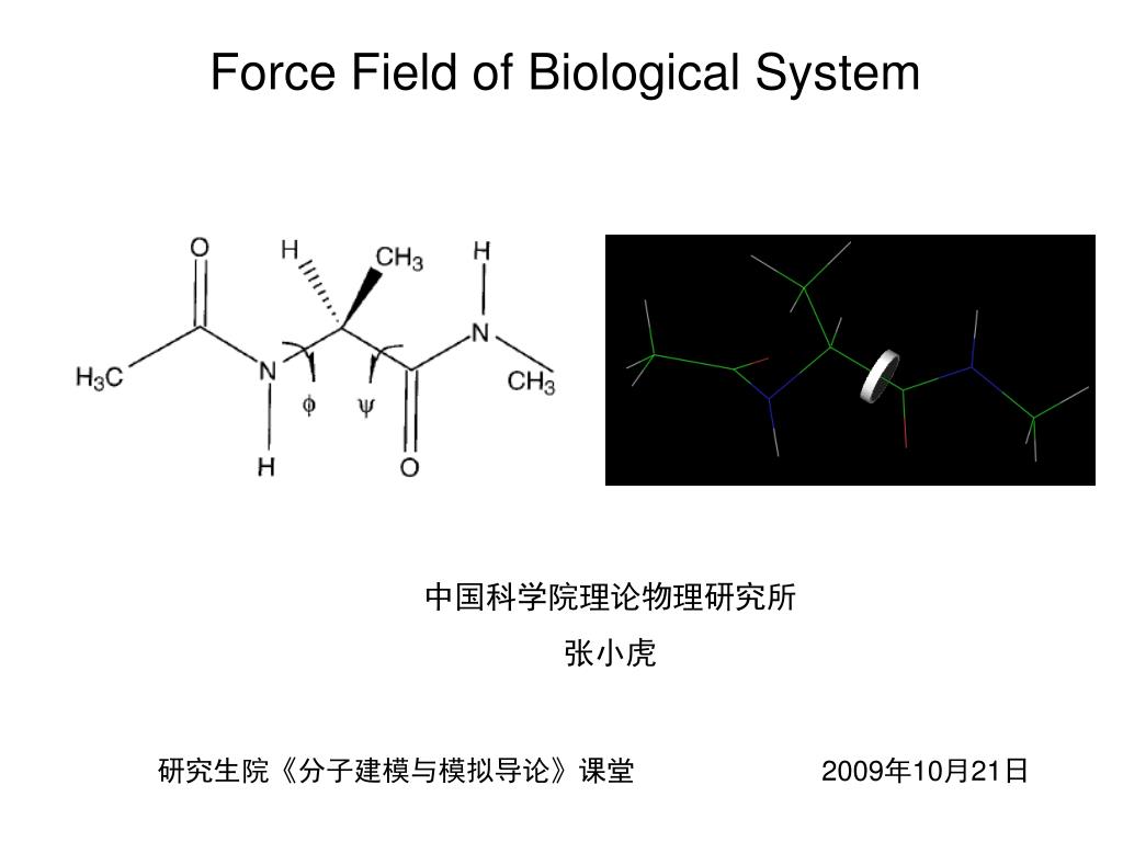 PPT - Force Field of Biological System PowerPoint Presentation, free ...