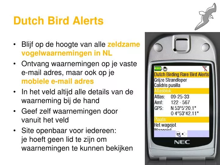 dutch bird alerts