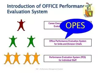 Performance Evaluation System (PES) for Individual Staff