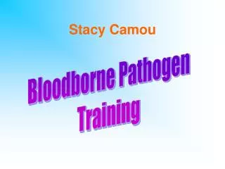 stacy camou