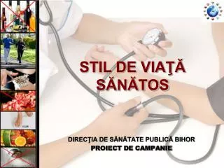 stil de via s n tos