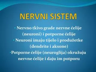 nervni sistem