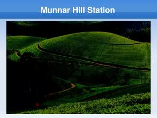 munnar hill station