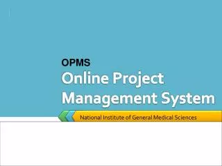 Online Project Management System