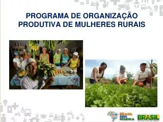 programa de organiza o produtiva de mulheres rurais