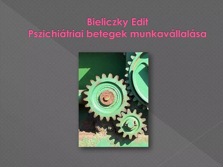 bieliczky edit pszichi triai betegek munkav llal sa