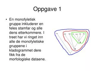oppgave 1