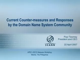 Current Counter-measures and Responses by the Domain Name System Community