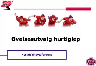 norges sk yteforbund