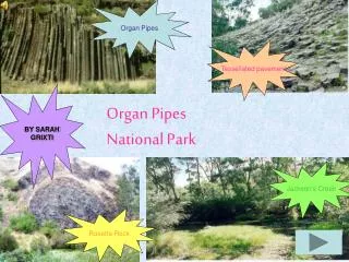 Organ Pipes National Park