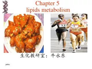 Chapter 5 lipids metabolism