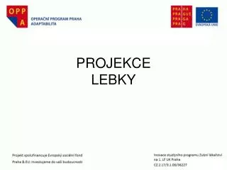 projekce lebky