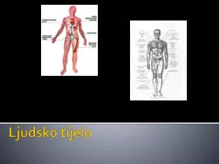 ljudsko tijelo