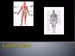 Ljudsko tijelo - slide 1