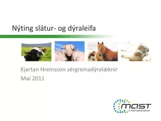 n ting sl tur og d raleifa