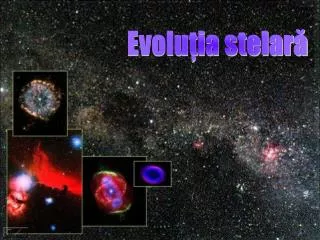 our cosmos