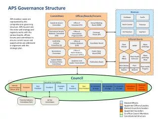 APS Governance Structure