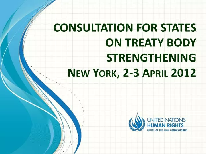 consultation for states on treaty body strengthening new york 2 3 april 2012