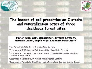 The impact of soil properties on C stocks and mineralization rates of three deciduous forest sites